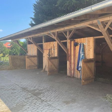 VernawahlshausenLuises Ferienglueck公寓 外观 照片
