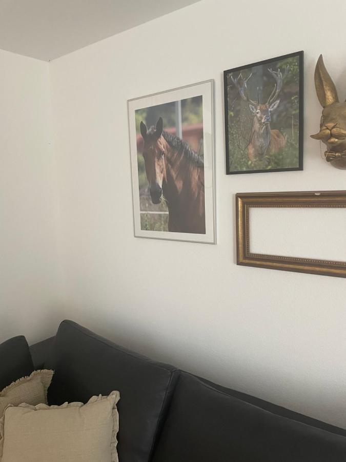 VernawahlshausenLuises Ferienglueck公寓 外观 照片